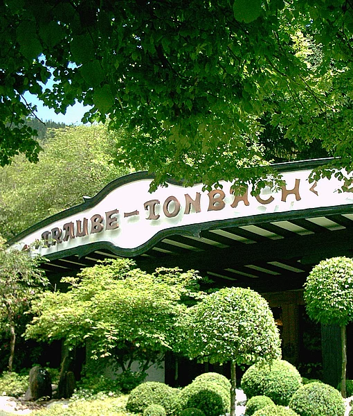 Abbildung des 5-Sterne-Hotels Traube Tornbach in Baiersbronn